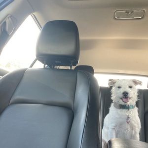 Meet your Posher, Dana